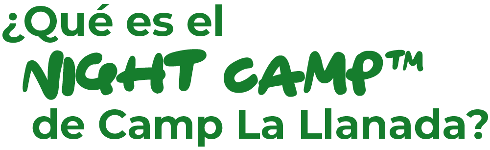 nightcamp_titulo
