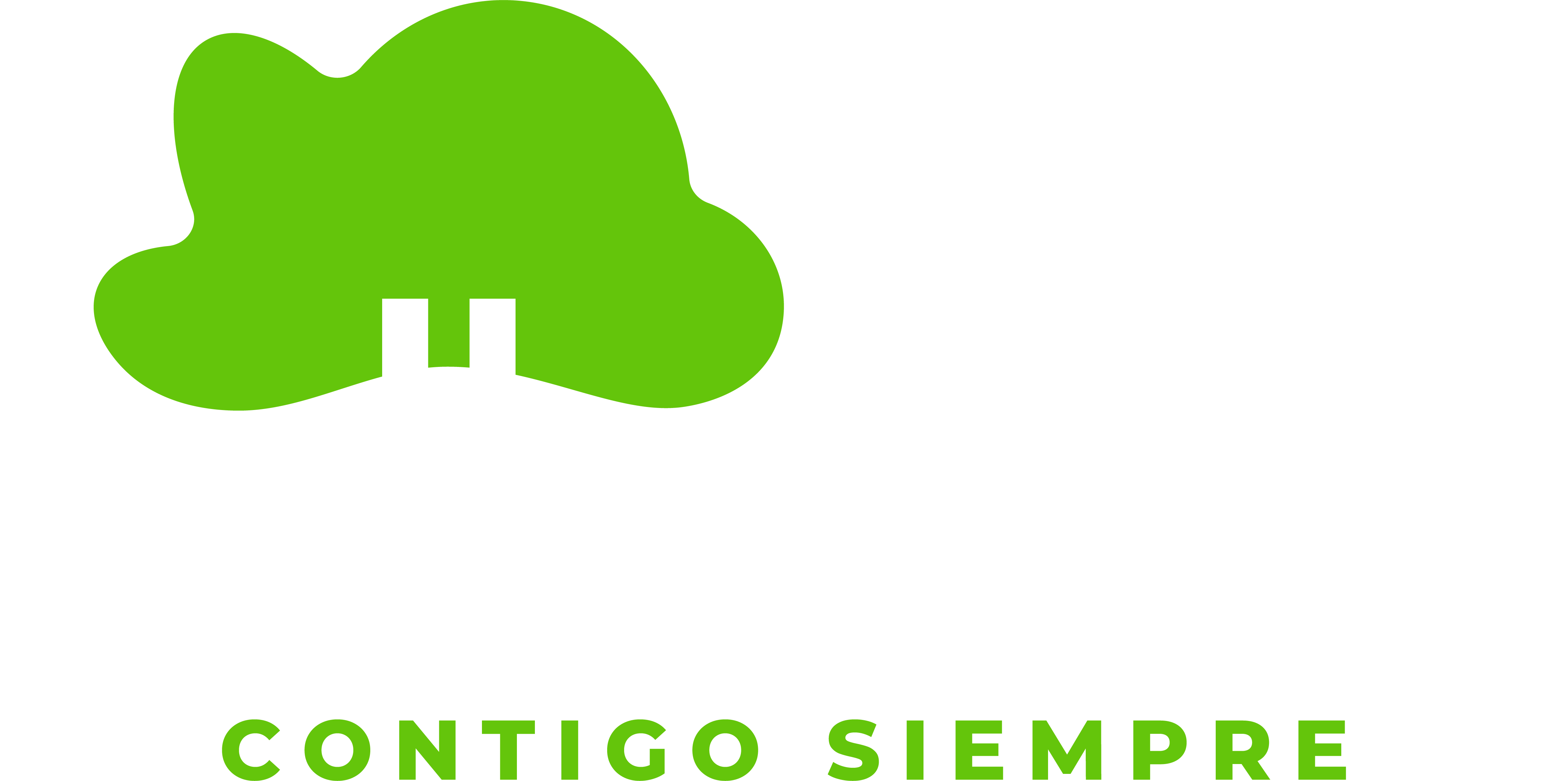 LLLG_Logo-01